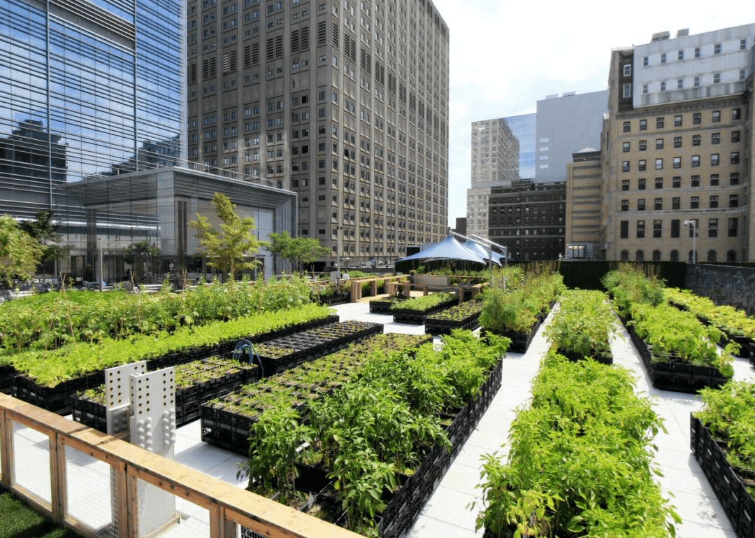 探索都市农场的n种可能_城市_屋顶_urby