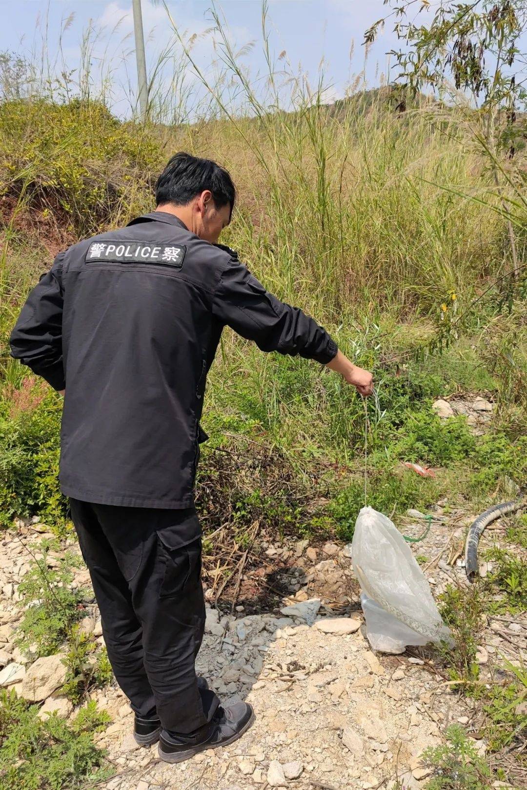 民警秒变捕蛇达人