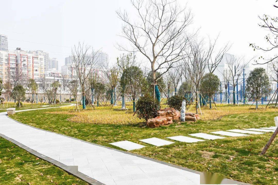来打卡泰州这里又建成一处新游园