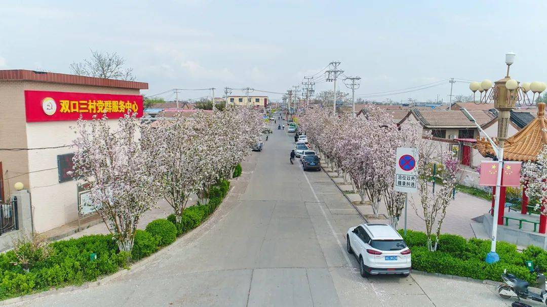 听民声汇民意暖民心双口镇双口三村严格落实村集体经济组织重大事项