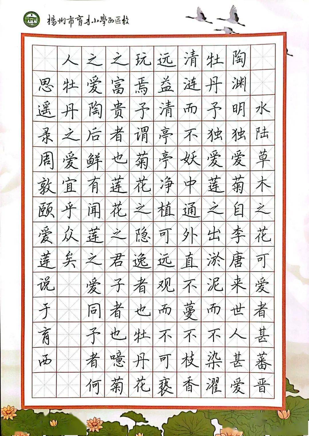 小学教师硬笔书法作品图片