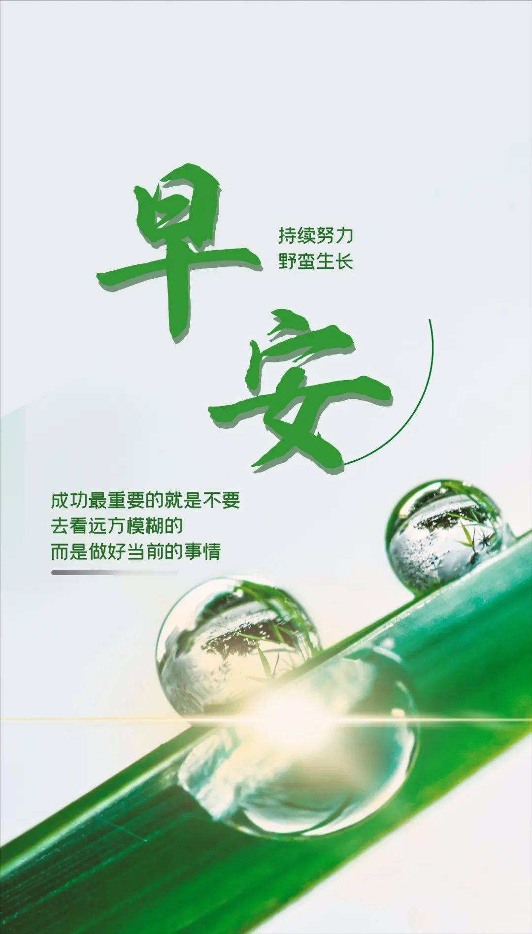 今天最新早上好问候语图片