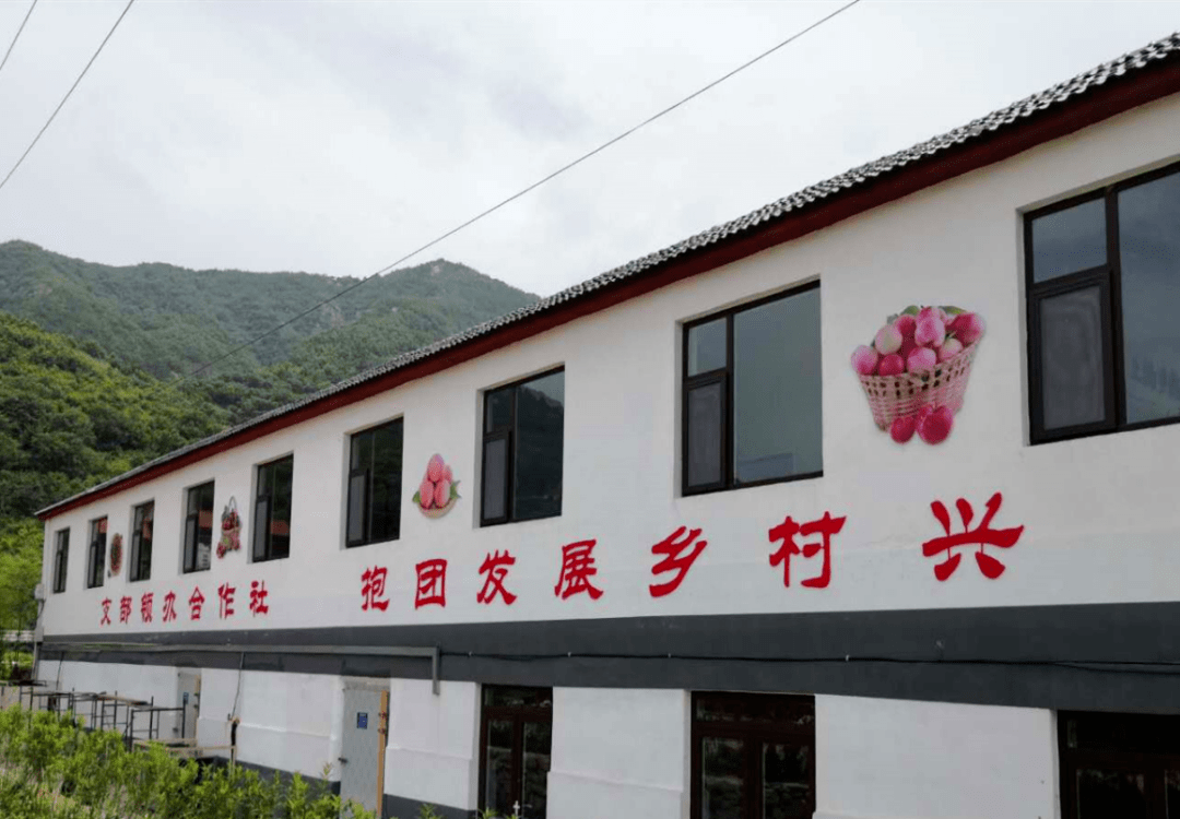 潘家庄村_蒲公英_松柏镇