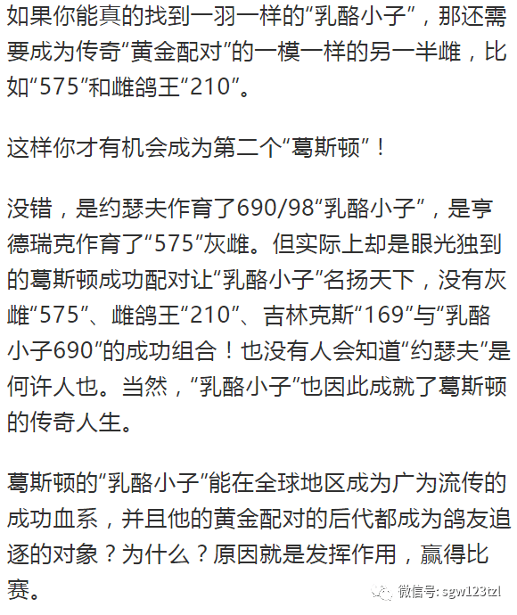 奶酪小子690图片