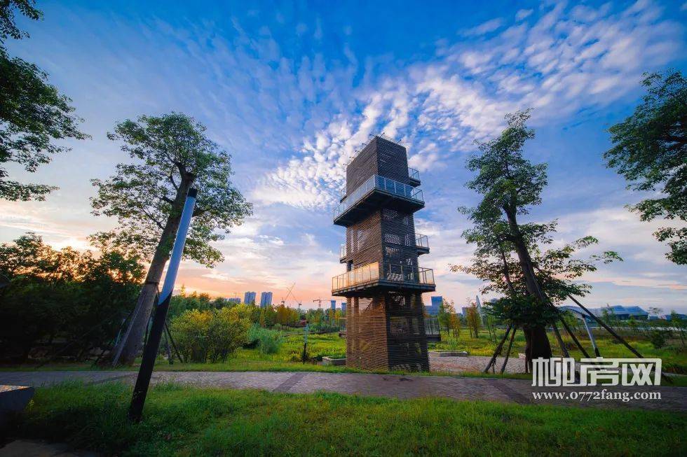 景色美到分分钟拍出杂志画报_龙湖_公园_东新区