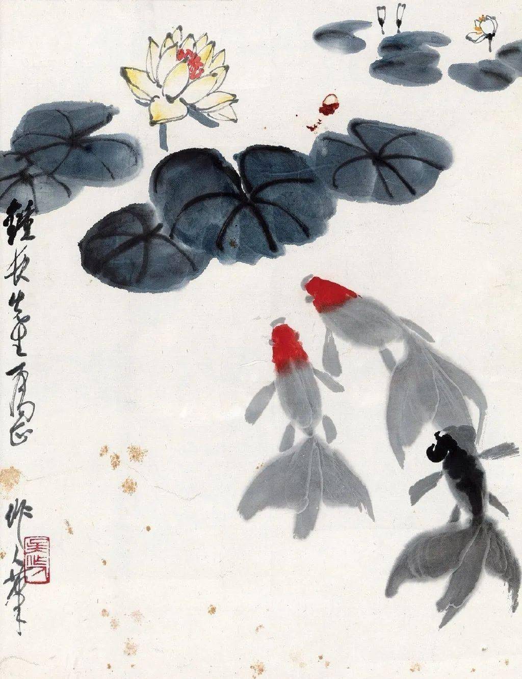 吴作人笔下的金鱼了解一下_国画_艺术_先生
