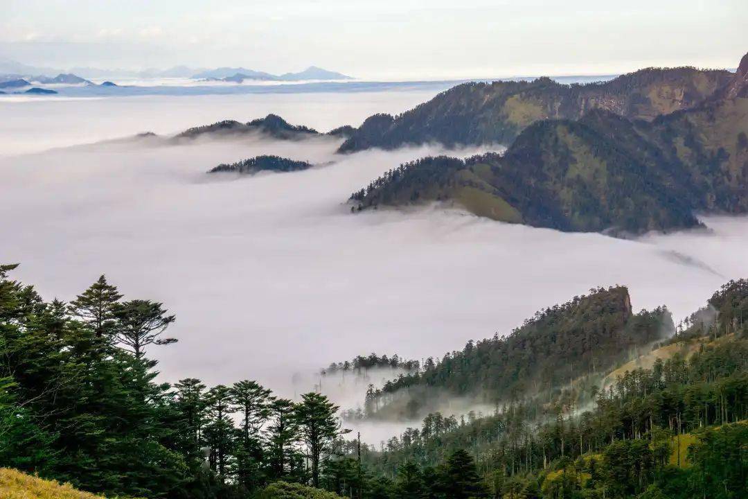 天全光头山灼灼璞玉静待芳华