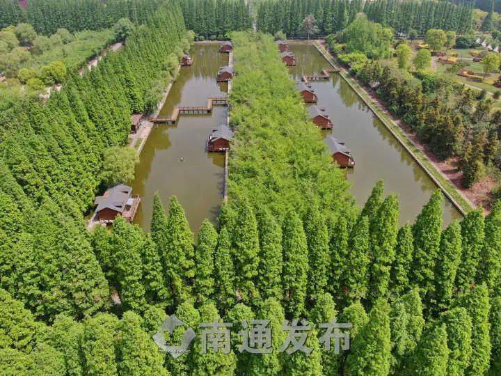 航拍如皋长青沙满屏翠绿景色迷人