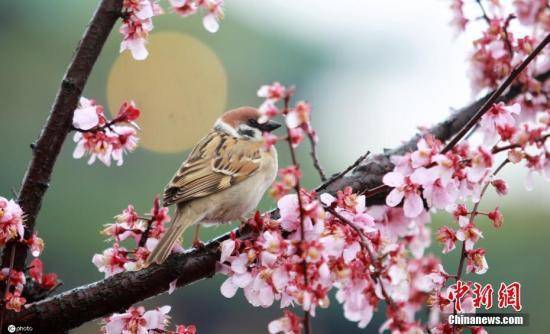 你敢看淡成败得失 生活就敢给你更多惊喜 阳什姐 人生 杨光