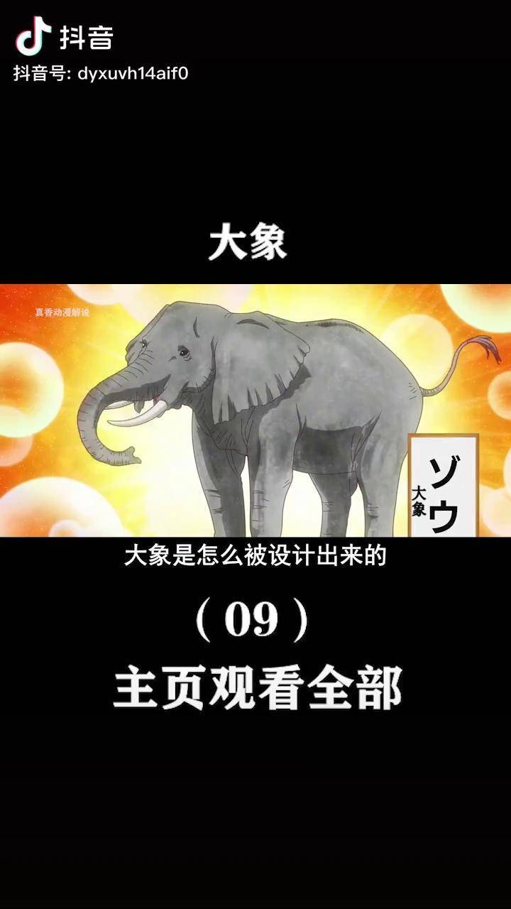 大象动漫真香君动漫解说二次元原创我在抖音看动漫天地创造设计部