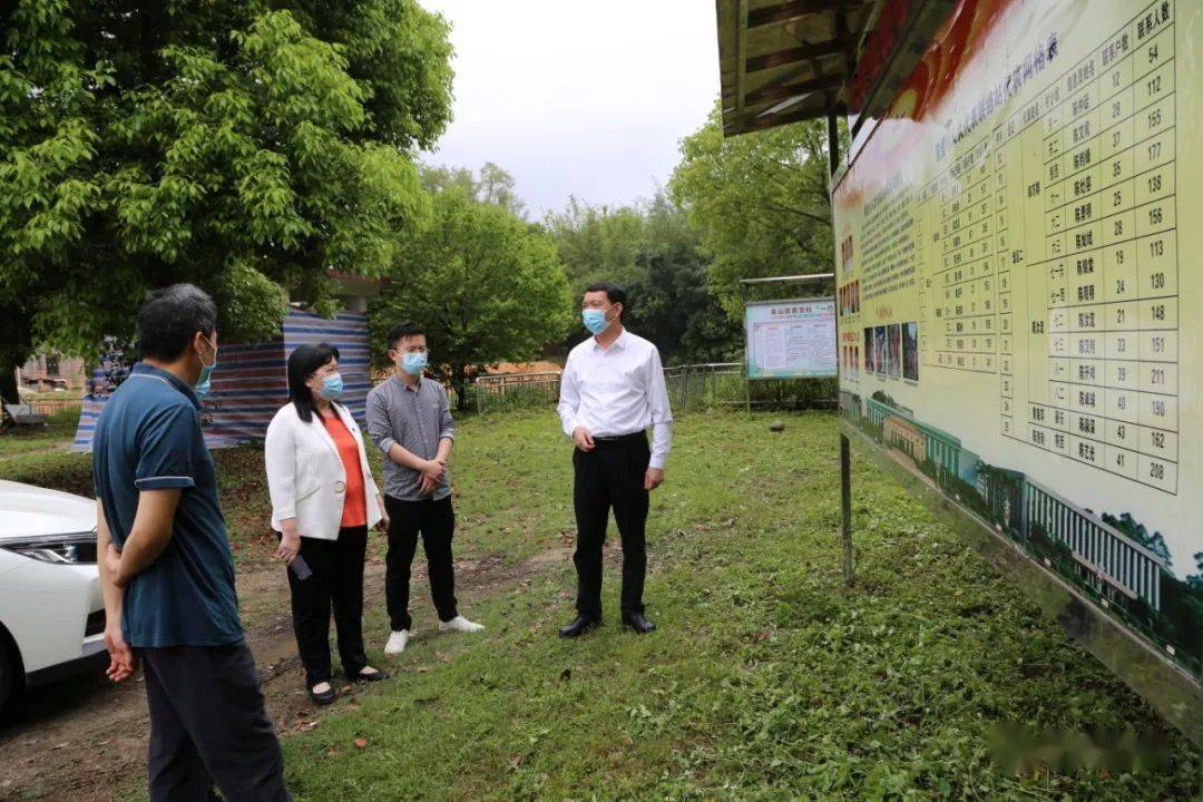 县人大常委会领导到龙山镇督导平安佛冈建设工作_产业园区_张芳_龙山