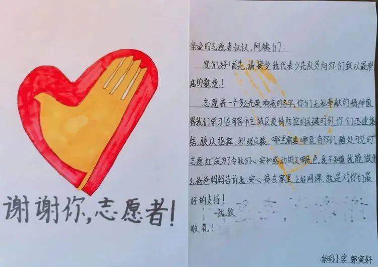 感恩卡致敬志愿者绘画致敬志愿者故事致敬志愿者"太阳鸟"是崇明小学