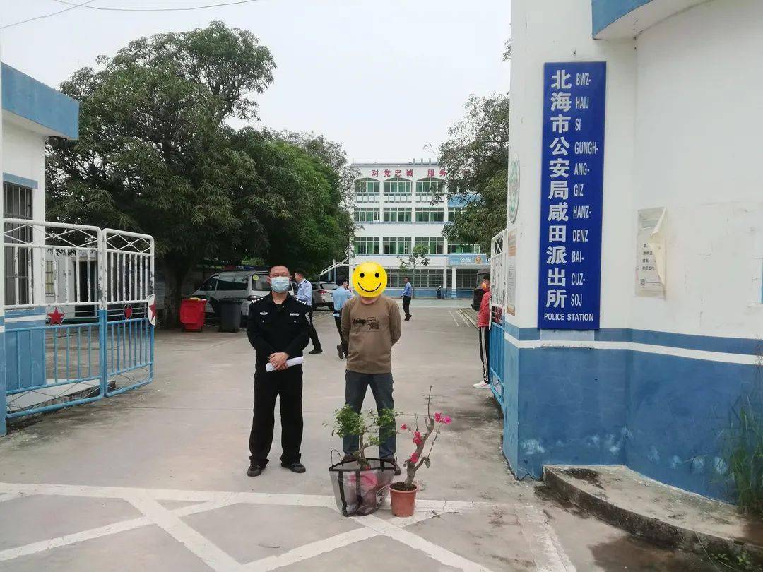 开豪车盗三角梅盆栽北海这对夫妻挨抓了