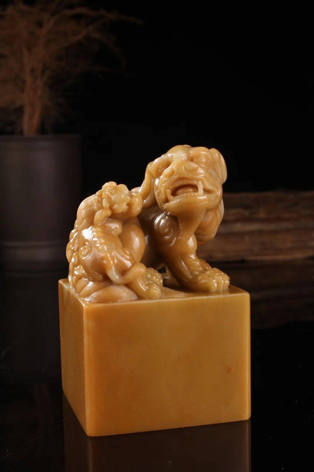 师从石涛,王文龙,姚仲达,现为国家一级/高级技师,杭州金石全形拓非遗