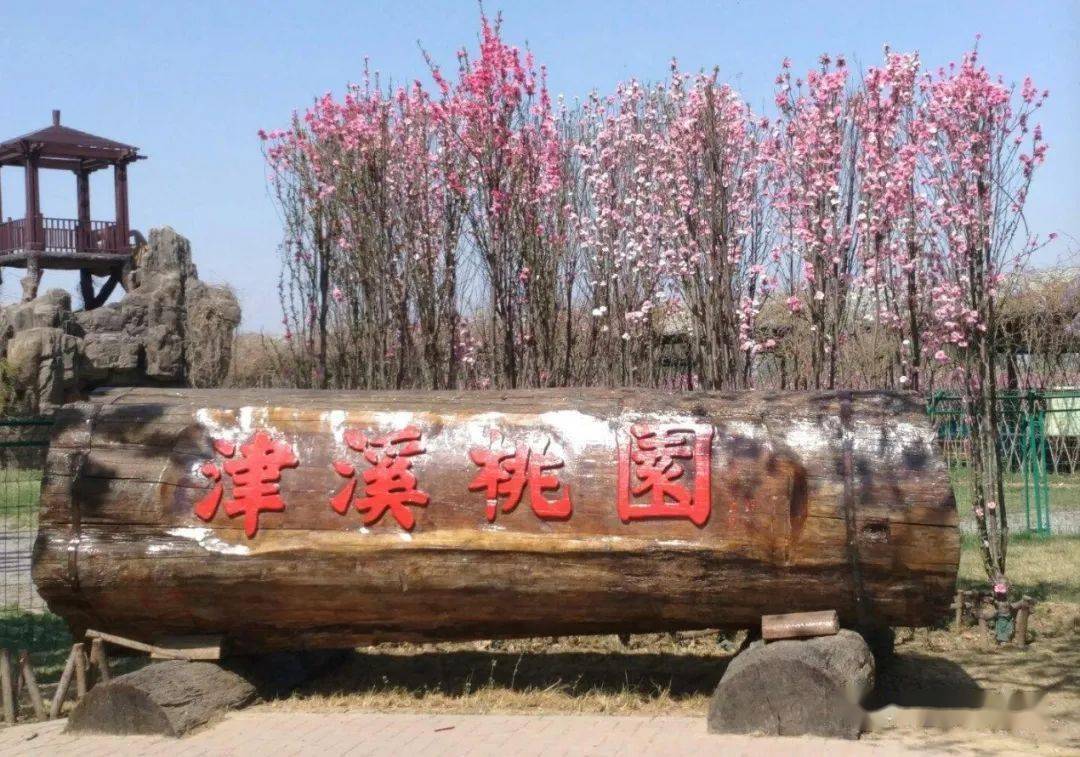 51免费入园武清津溪桃源帐篷节开始啦烧烤采摘娱乐