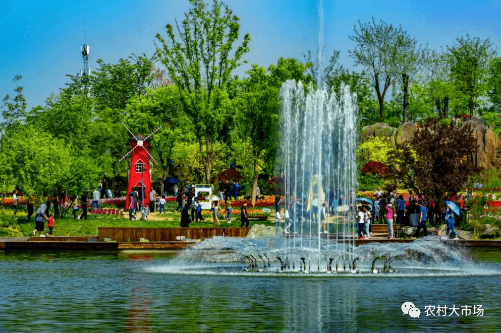 明日剧透香约西安植物园郁见最美春天