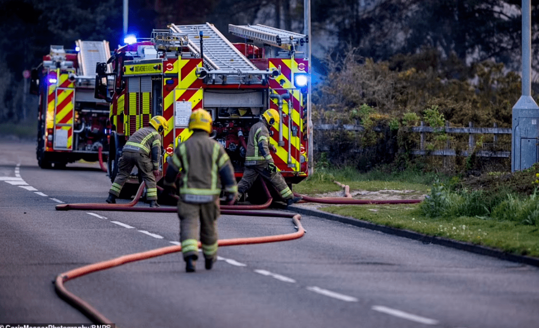 伦敦象堡光天化日抢劫英国超市限购食用油58岁女子lemsip服用过量死亡