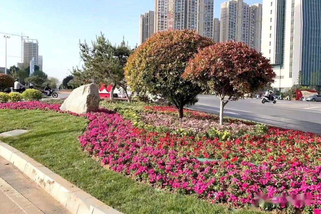 最美花境 亮相商务中心区迎宾大道_公园_景观_黄河