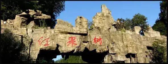 遵义丨4a级景区红果树499元享红果树成人门票洞穴火锅单人餐园内亲子