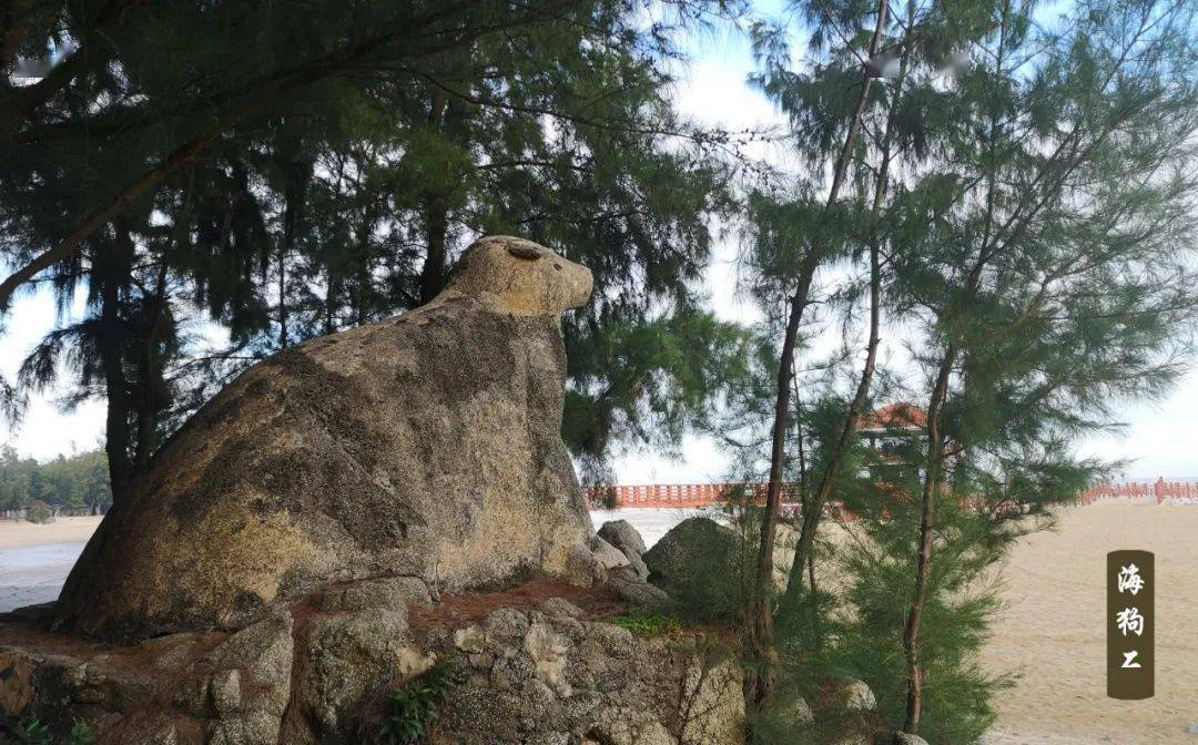 这些散落在海滩上的石头,你了解多少_三娘湾_母猪_沙滩
