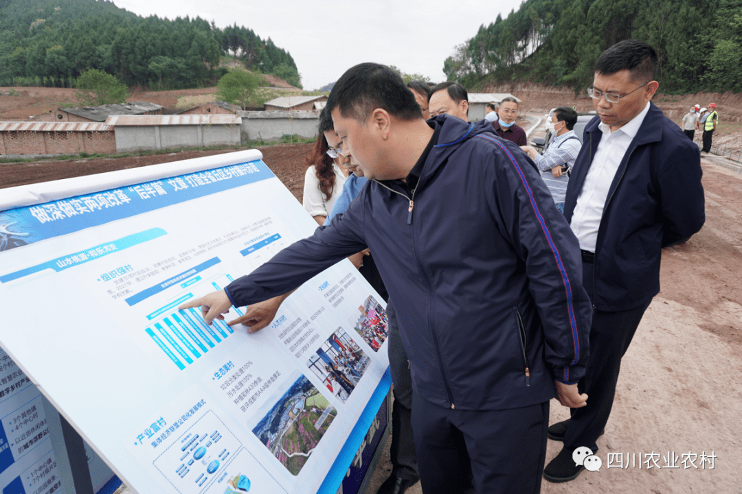 徐芝文到简阳市调研耕地非粮化和撂荒地整治工作