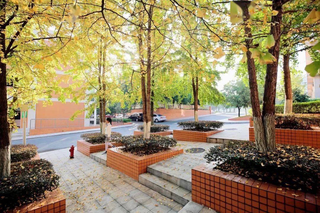 最美校园丨两江新区竹林实验学校以竹化人育谦惠之才
