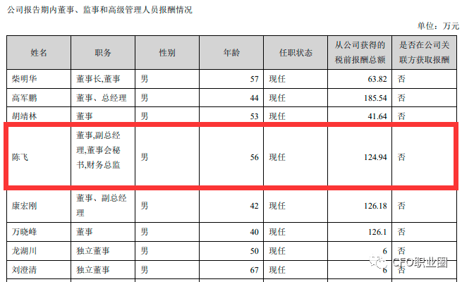 黄金行业财务总监收入(黄金行业财务总监收入怎么样)