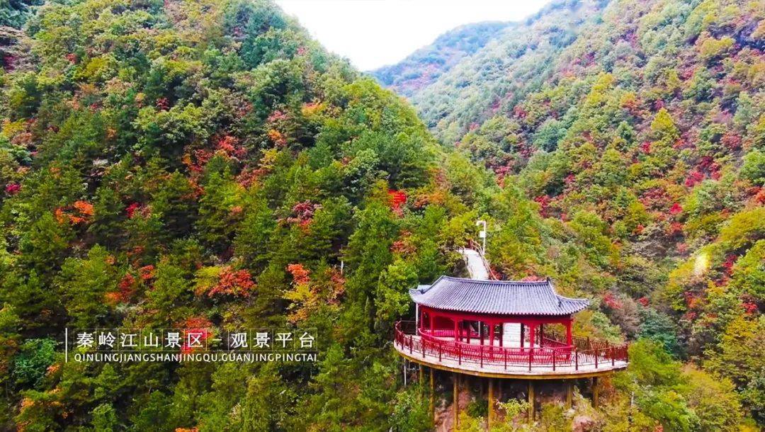 《江山美》mv重磅上线_商洛_景区_旅游节