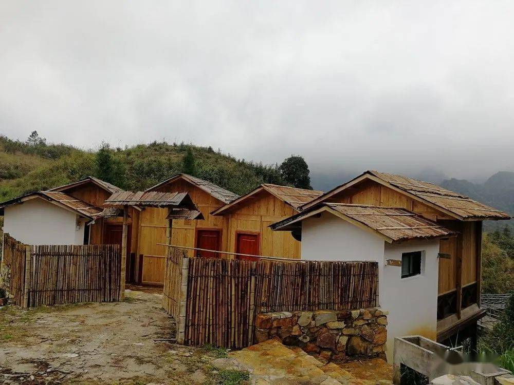 金秀巴勒山5月云海露营节