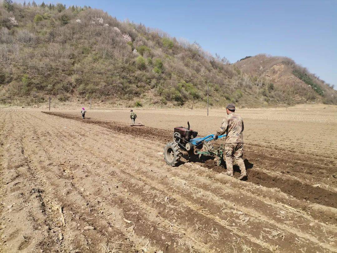 通化县大泉源乡抓好春耕备耕02助力产业振兴