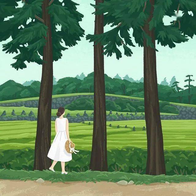 插画 | 与平静相伴的日子,柔软而开阔