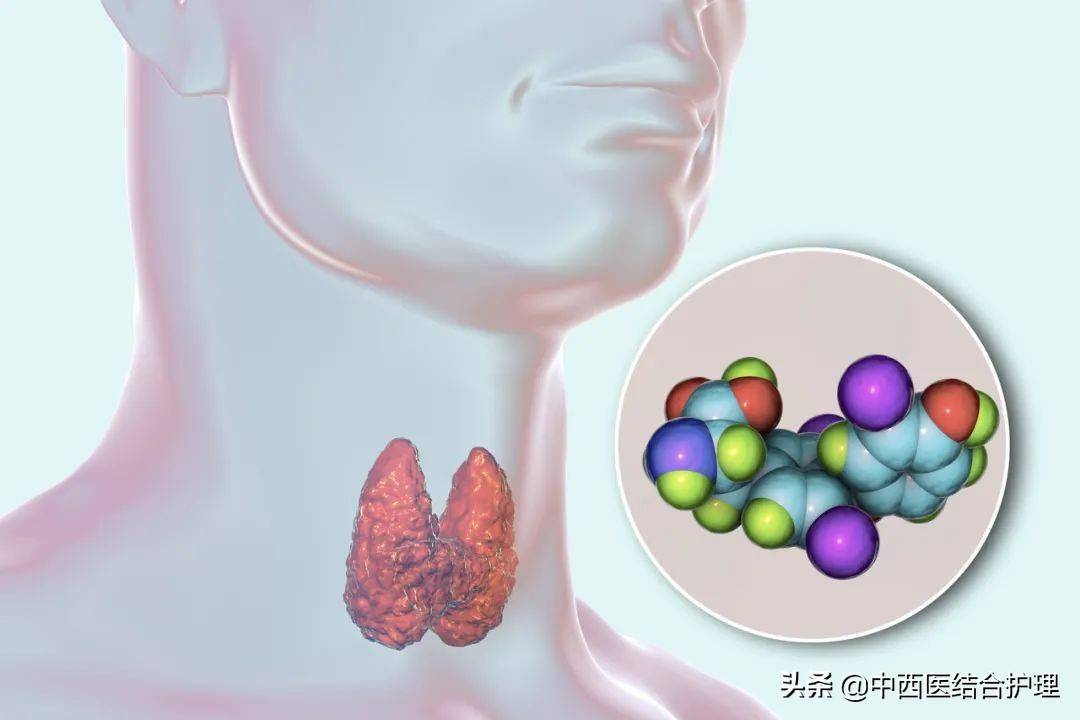 心臟是甲狀腺激素的主要靶器官,所以,當甲狀腺功能