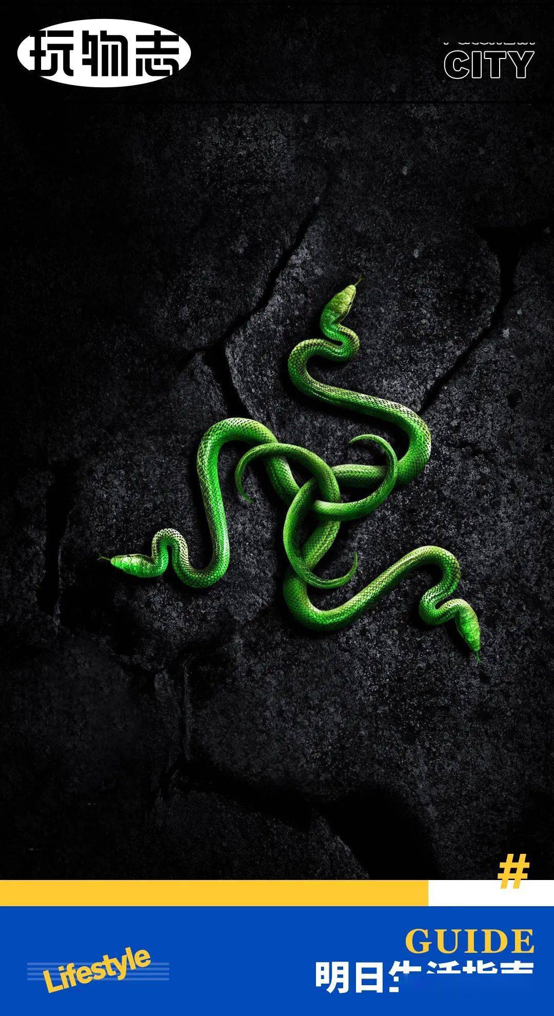 开灯像鬼屋,关灯像网吧_razer_雷蛇_图片