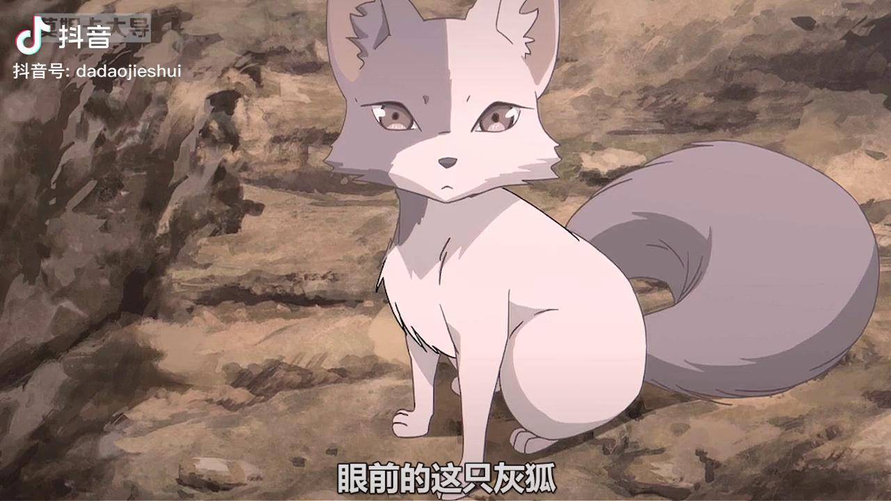 灰狐自断狐尾吸收两万冤魂只为救下那个曾梦想仗剑天涯的少年动漫推荐