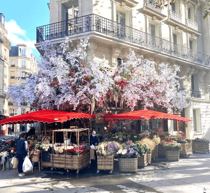hot刷爆全法的网红花店巴黎人直呼人间伊甸园