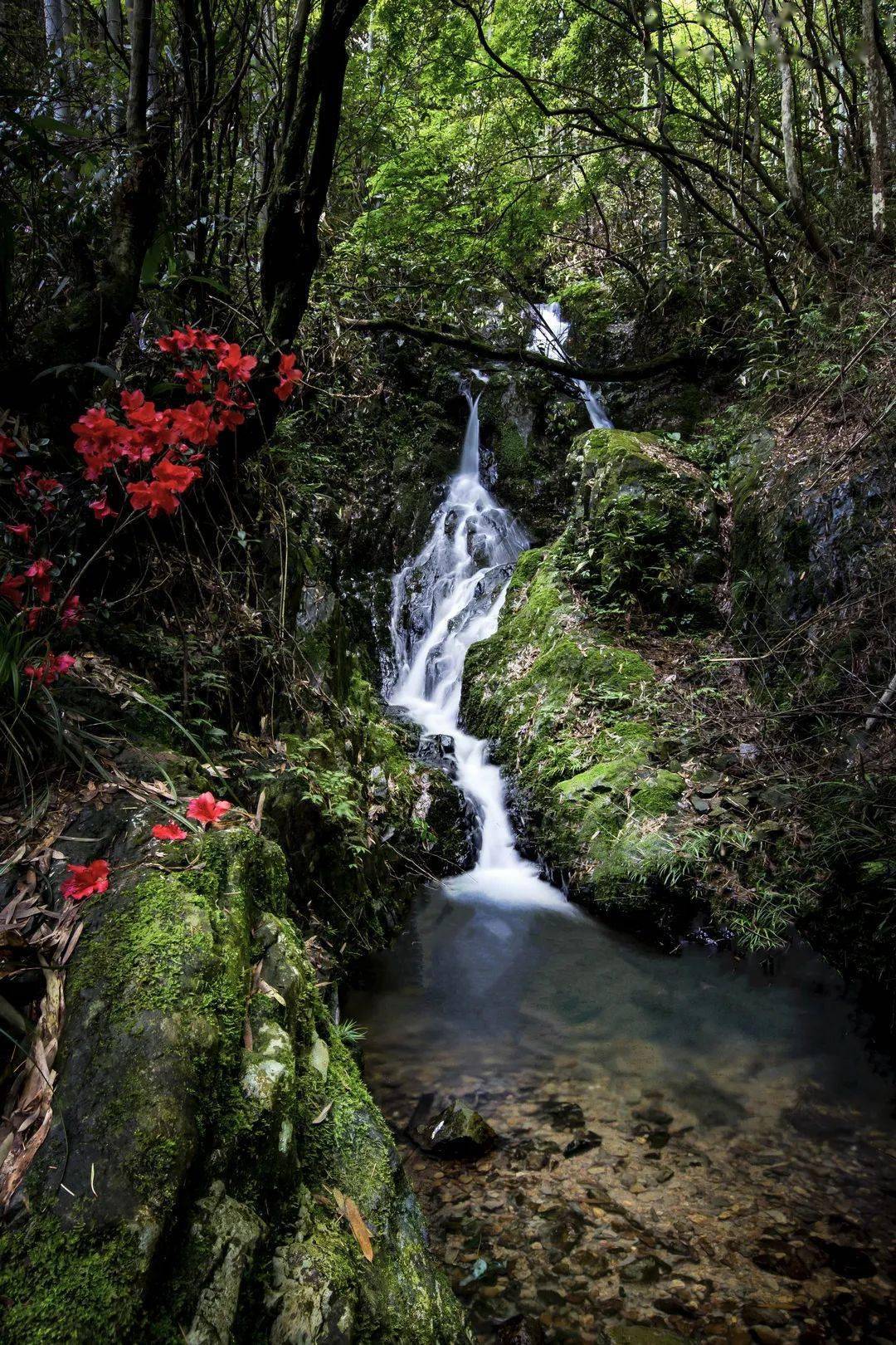 摄)石牛村(施福玲 摄)小桥流水人家(苏燕明 摄)山水田园,风光旖旎村村