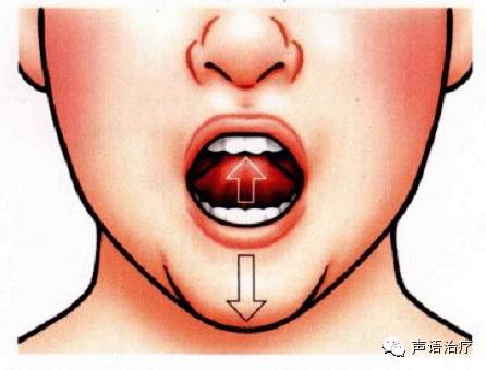 舌尖上舔齿龈舌尖右舔嘴角舌尖上舔硬腭舌尖前后交替舌尖左右交替舌尖