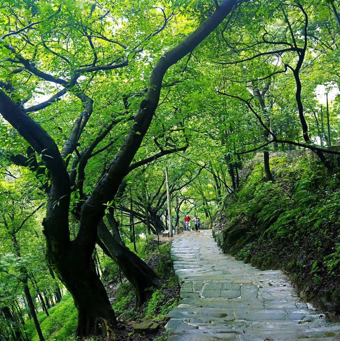 清水溪步道风临口袋公园清水溪步道这个五一南岸竟然有这么多好玩的