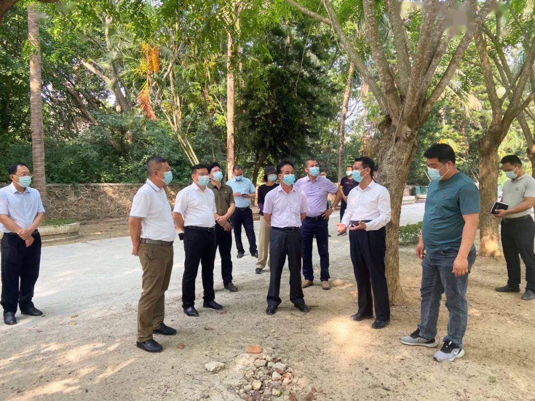 通过实地考察,召开座谈会等形式,到儋州市海头镇学习考察甘蔗产业发展