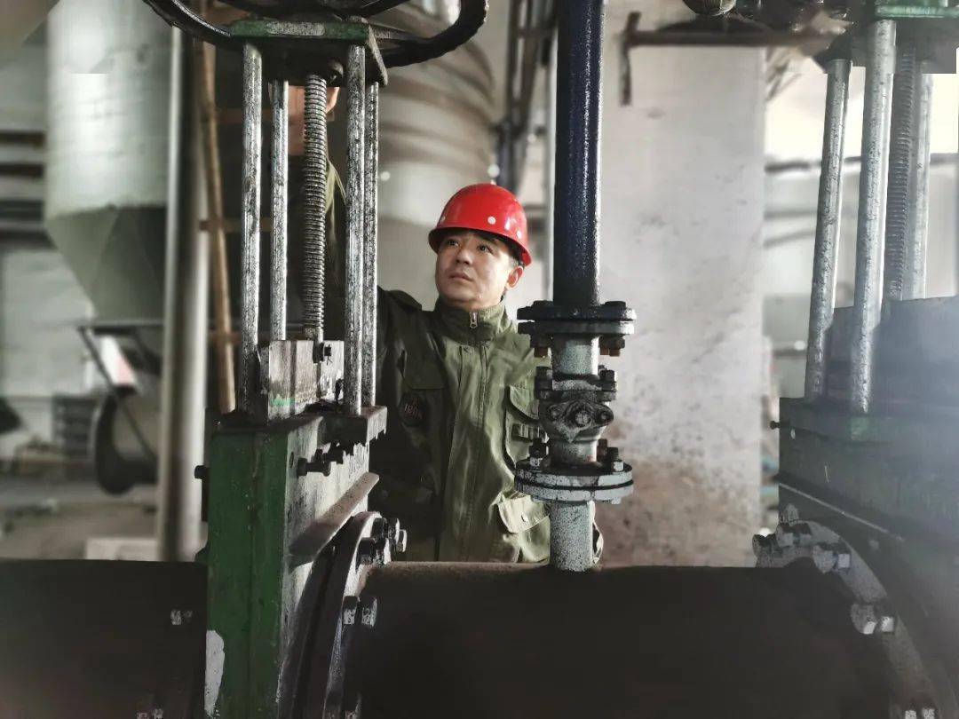 韩笑《辛勤的电焊工》作者:建安公司 曲艳华《开在高空的花》作者:斯