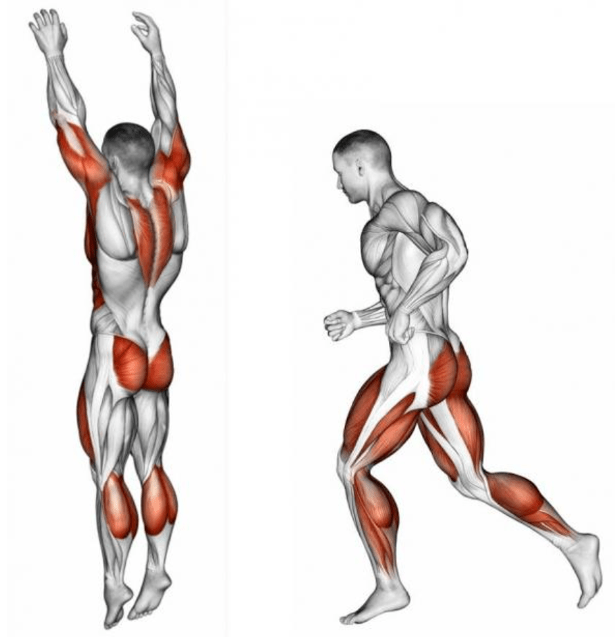 跳绳练哪里的肌肉图解图片
