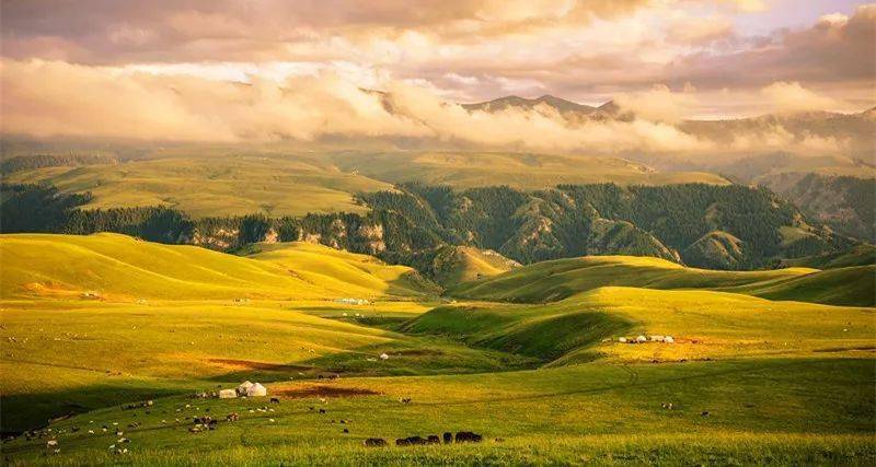 伊犁河谷美翻了