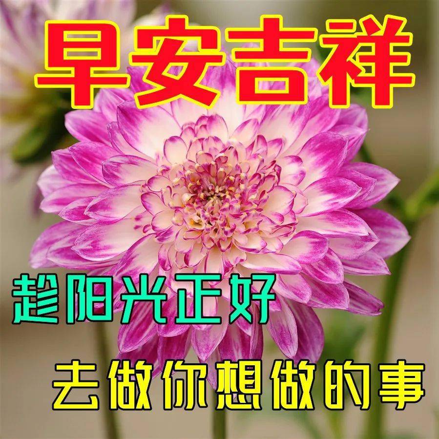 早上好表情包家人朋友们平平安安幸福美满