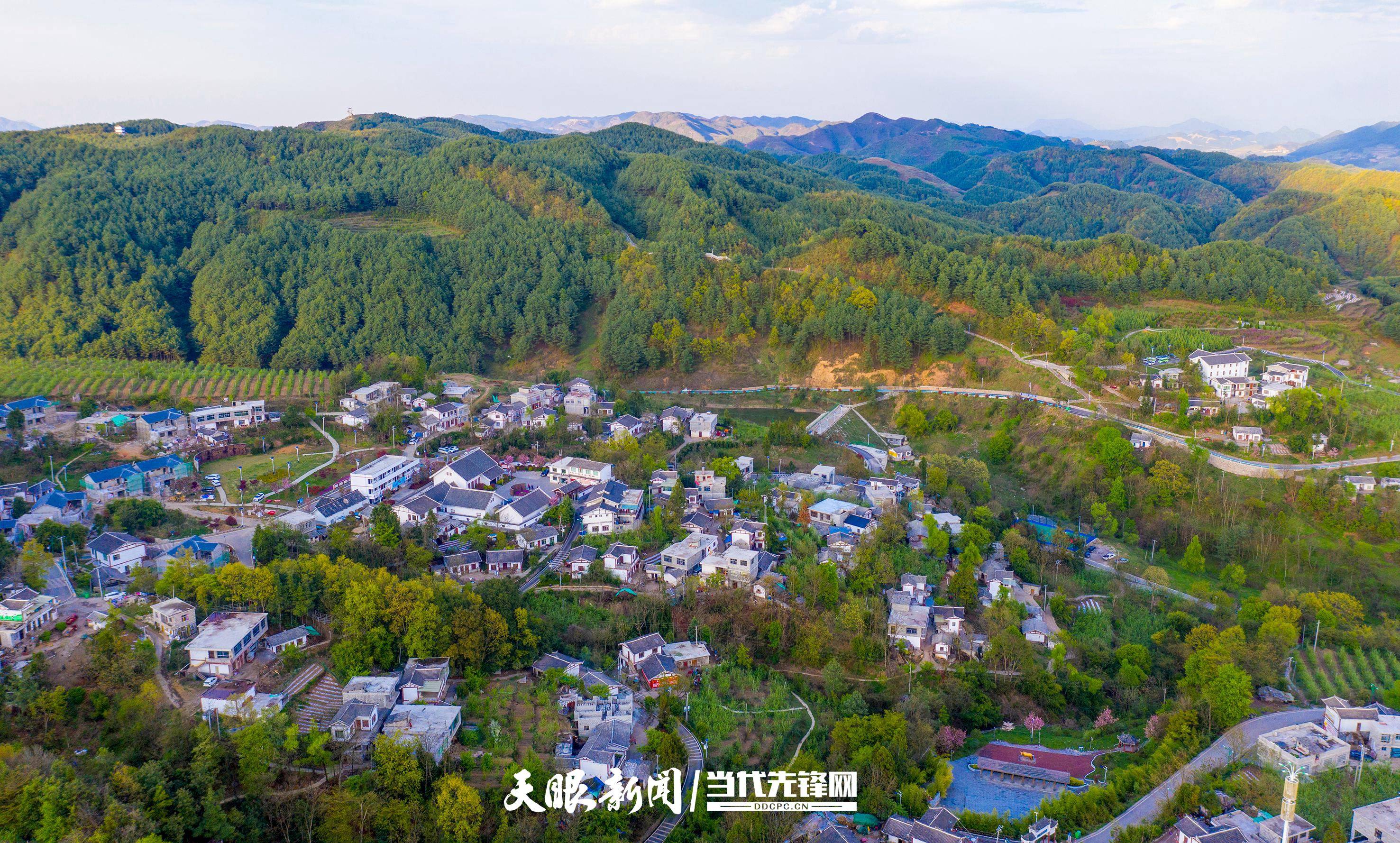 这里的空气罐头真香甜全省第二张林业碳票在赫章县海雀村发放