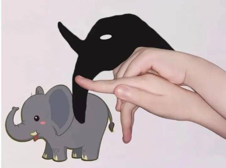 探索影子的秘密亲亲大班主题课程