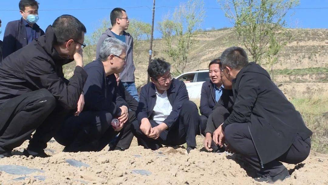 李旺泽来会宁调研督导撂荒地整治和春耕生产工作