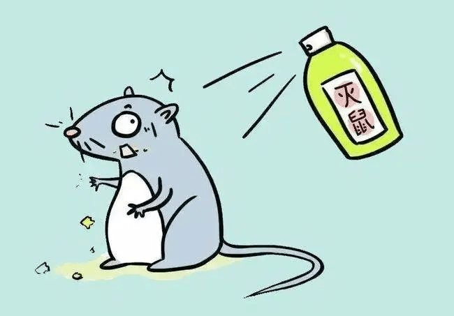二,药物灭鼠法使用抗凝血剂类慢性鼠药,如溴敌隆,大隆等,严禁使用急性