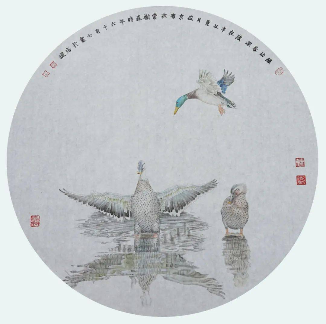 常树森新作|工笔花鸟圆卡系列40幅_作品集_书画_辽宁省