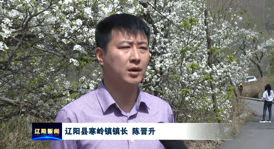 寒岭镇按下复工复产键_辽阳县_进行_景区