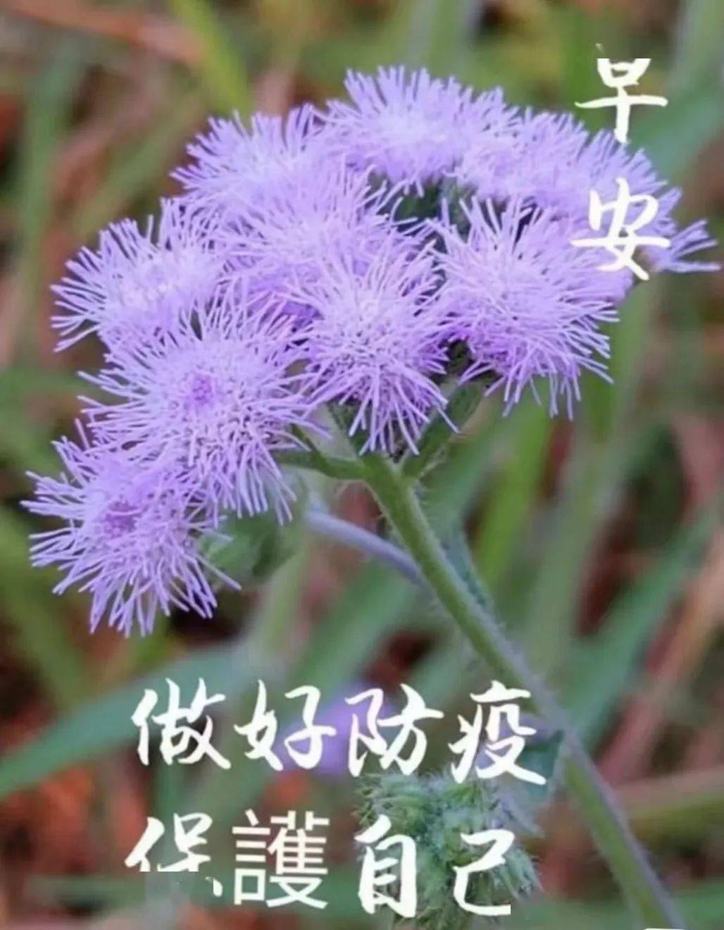 5月3日早上好祝福语图片大全,问候动态表情图片大全!
